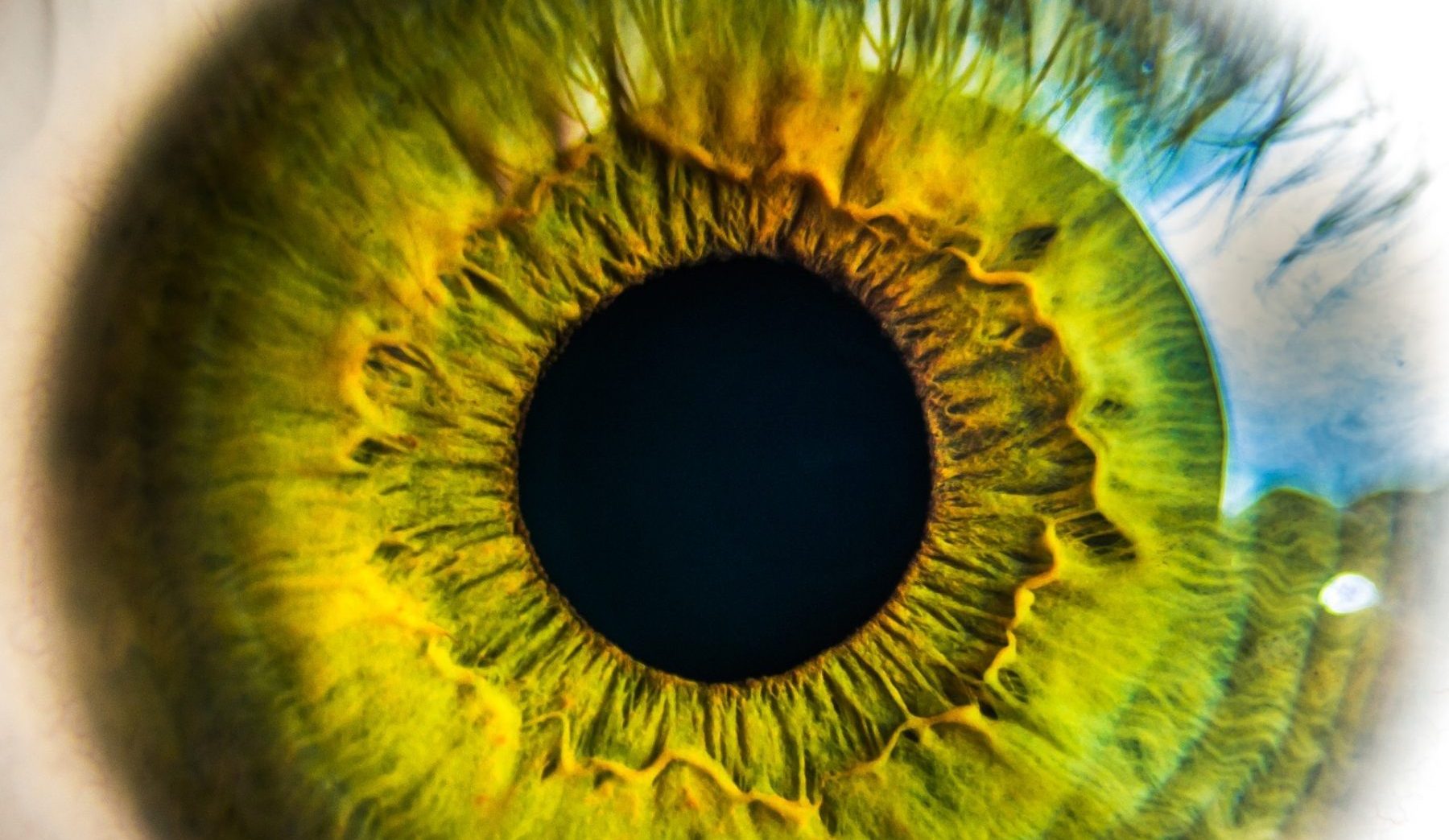 eye-931978_1920 Visione a colori